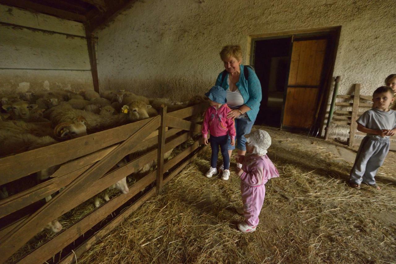 Bio Farma & Penzion Zlaty Hyl Novacany Экстерьер фото